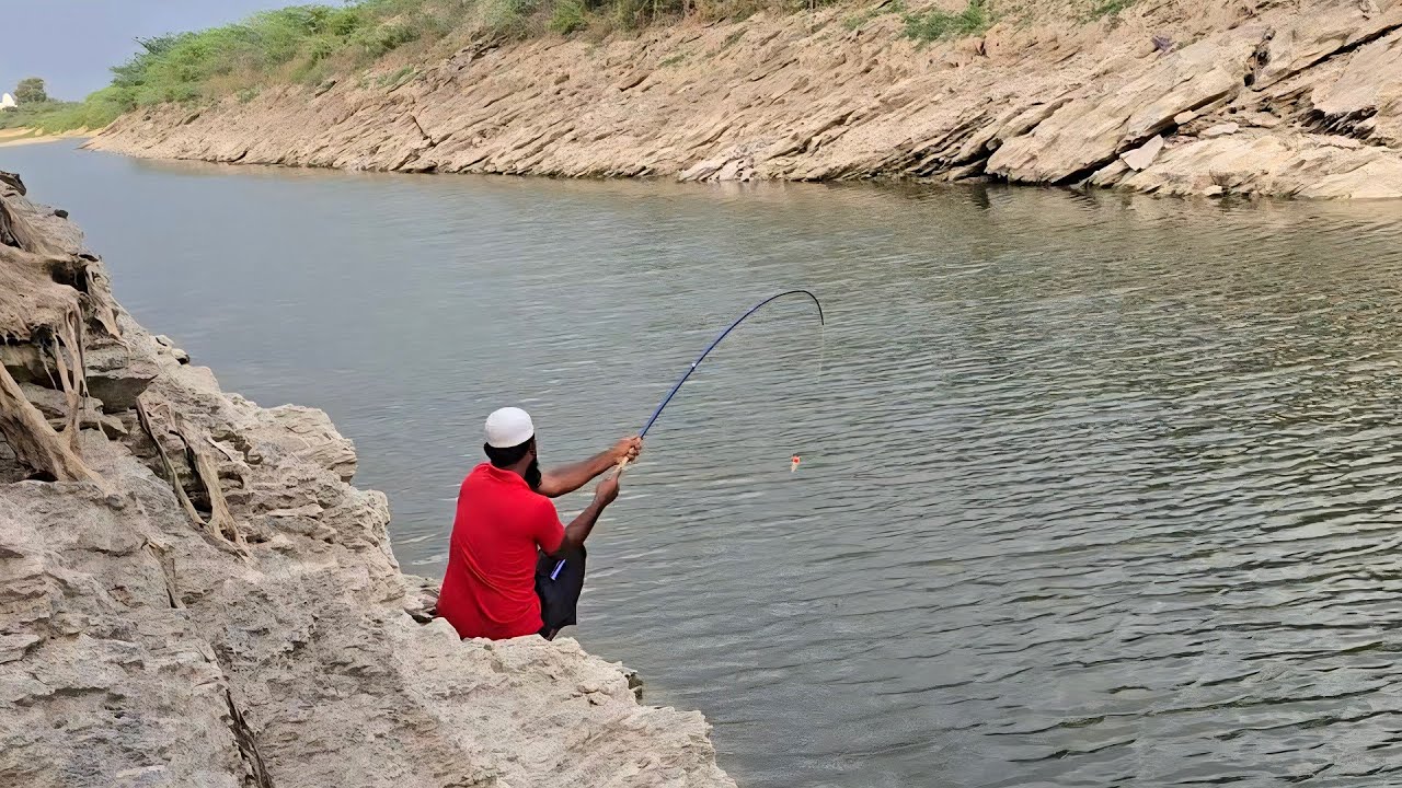🎣SMALL HOOK FISHING NEVER FAILS |BAAMFISH &TILAPIA ATTACK!AMAZING FISHING TECHNIQUE FOR BAAMFISH 