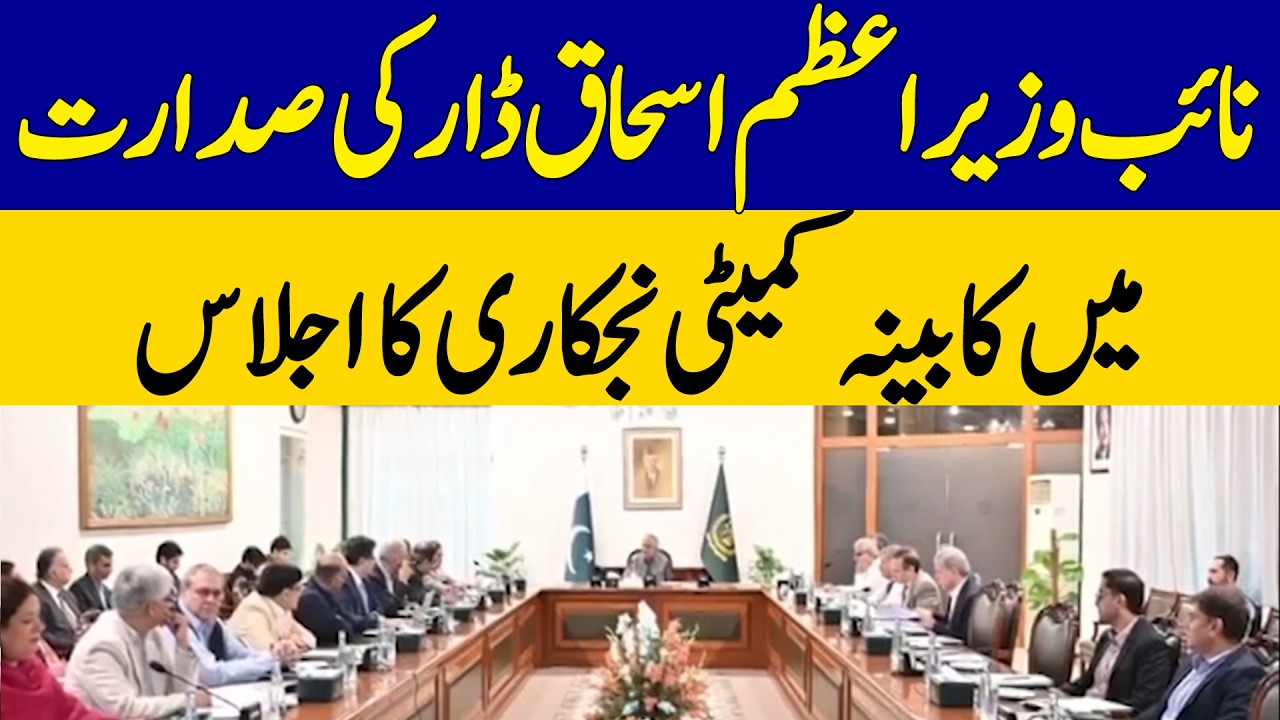Ishaq Dar Chairs Cabinet Committee on Privatization Meeting | Dawn News