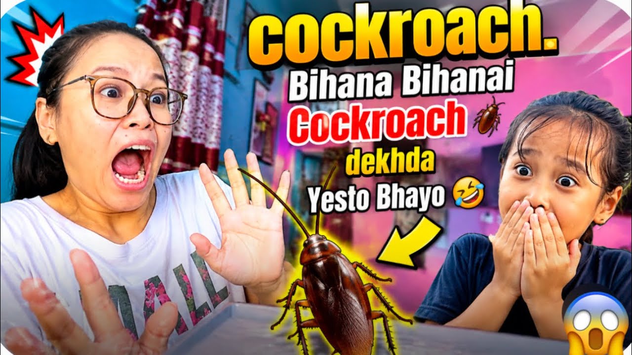 Aanie ani Mamu ko Reaction Cockroach dekhda yesto 😳 | aaja ta k k bhacha yesto😅