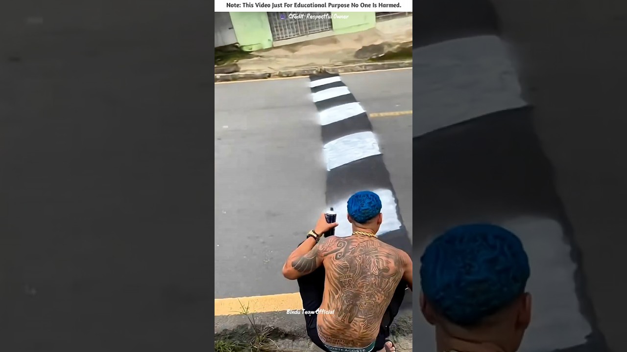 This Fake Speed Bump Fooled Everyone