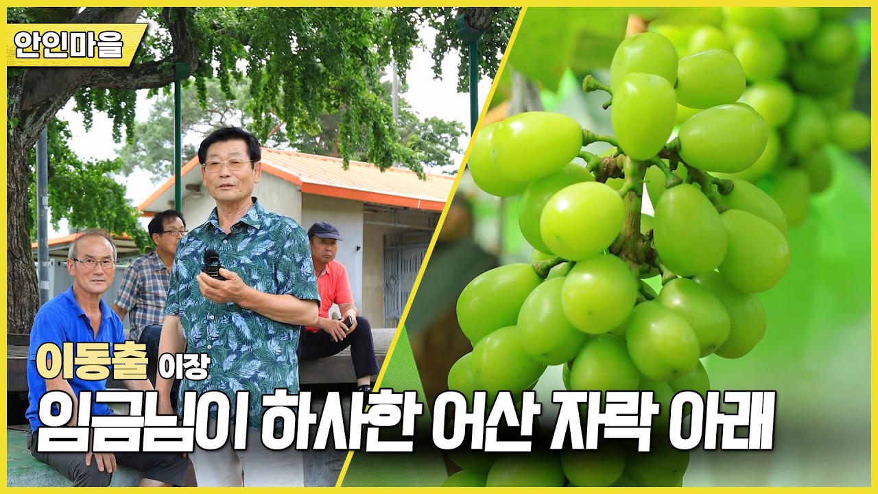 新우문현답 | 491회 마음의 눈 | 경남 함안군 산인면 안인마을 (KBS 2026.08.05.수 방송)