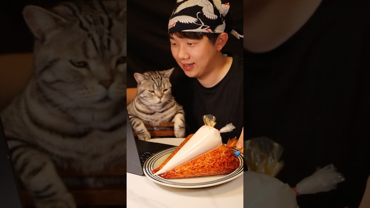 Budalk noodles and chicken #cat #food #cooking