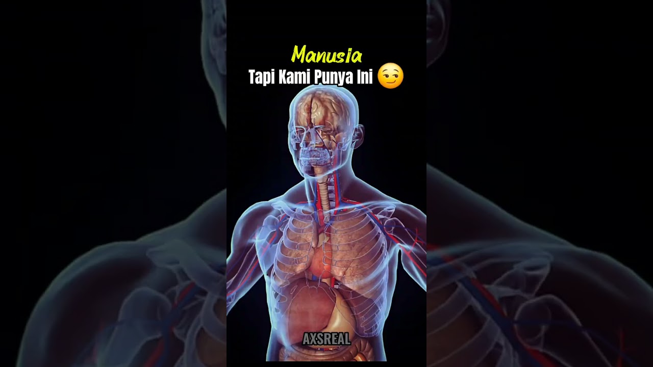 Bumi 🌏 vs Manusia 🚶‍♂️ #ipa#ips#alam#manusia#anatomy#space#bumi#AXSREAL