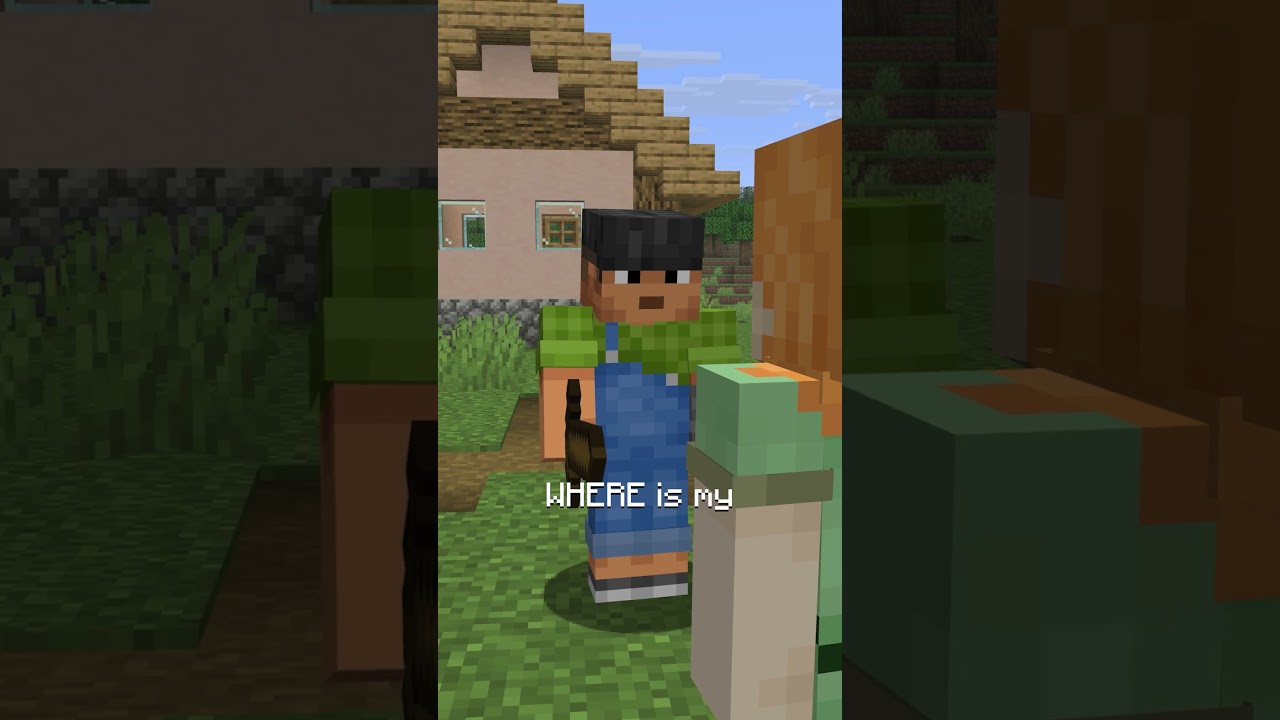 HAVE YOU SEEN MY NETHERITE HORSE ARMOR?!