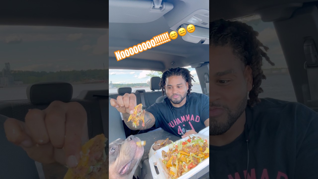 hit the like button to help with the next mukbang😂😂 #funny #viral #pup #puppy #dogs #mukbang
