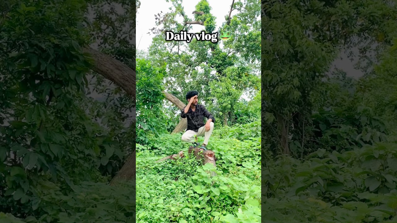 Daily vlog 🐸 part -23 #funny #minivlog #comedy #youtubeshorts