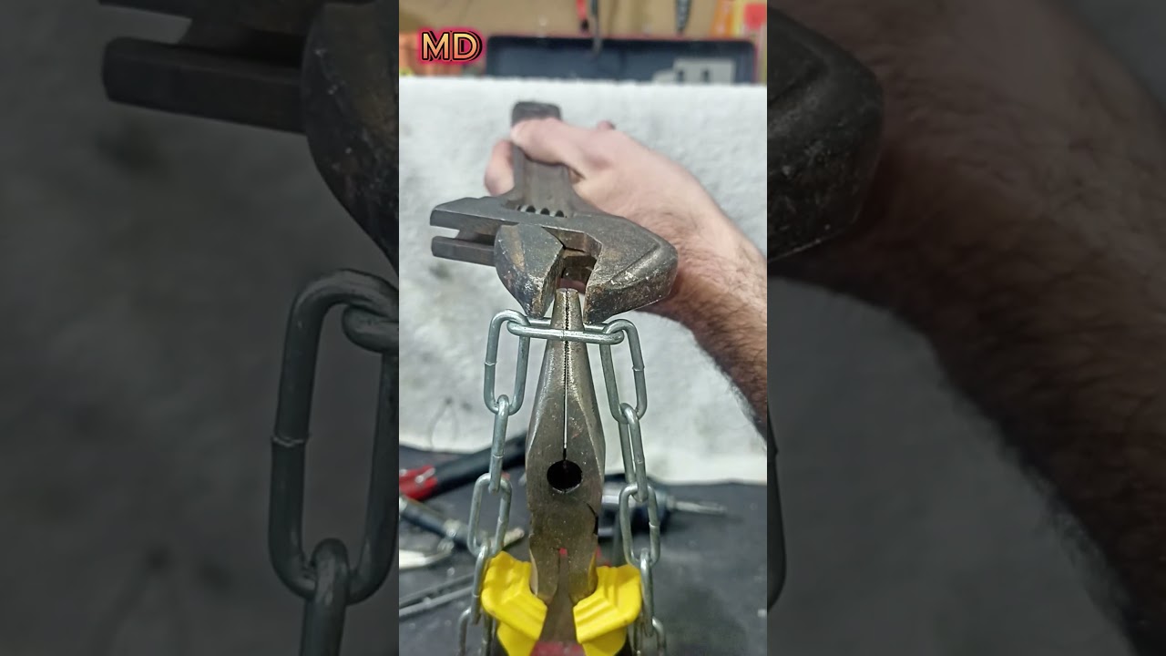 🛠️One Chop, Chain Snapped#woodworking  #tools4life #tools #trailers #diy #satisfying #shorts