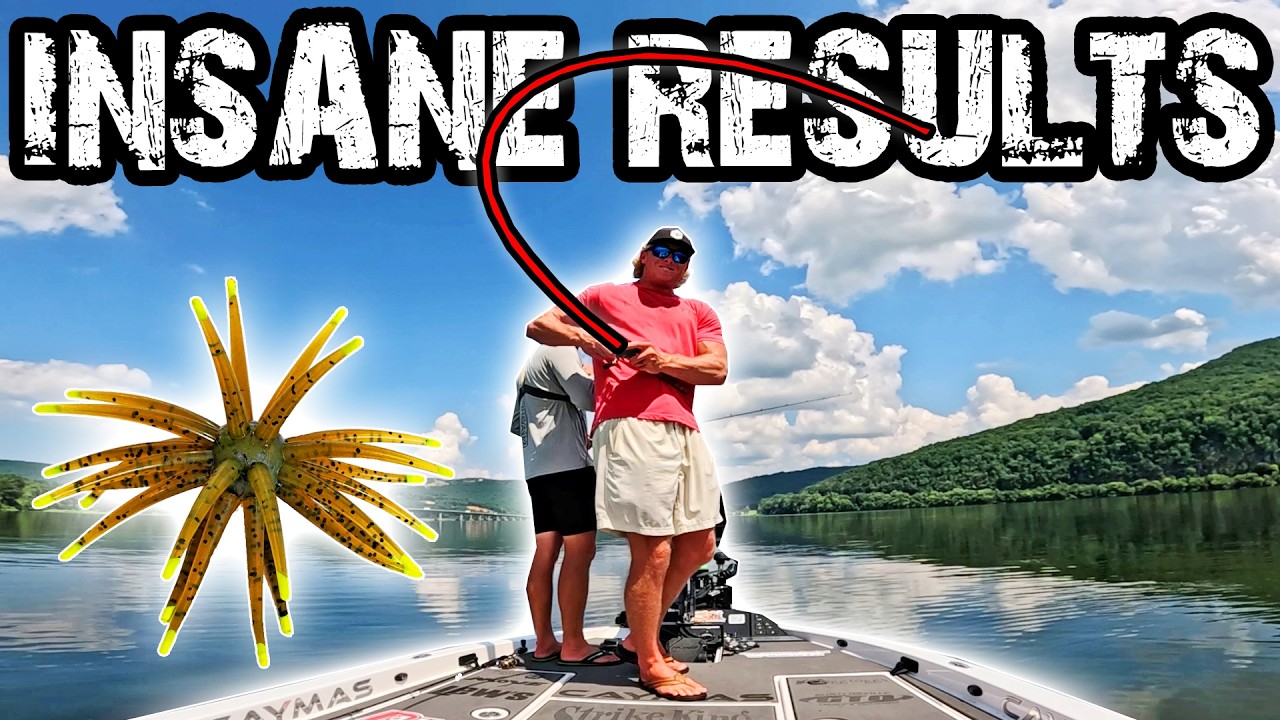 Catching Giant Bass on the Viral Urchin Bait (Insane Results)
