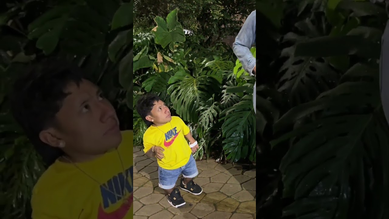No lo vi #humor #comedia #reels #comedy #shorts #shortvideo