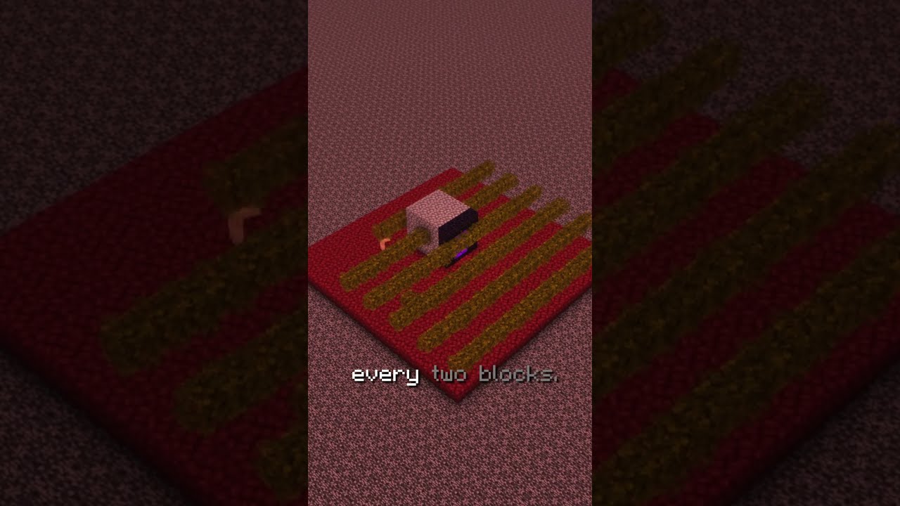 The EASIEST Nether Roof Gold Farm in Minecraft