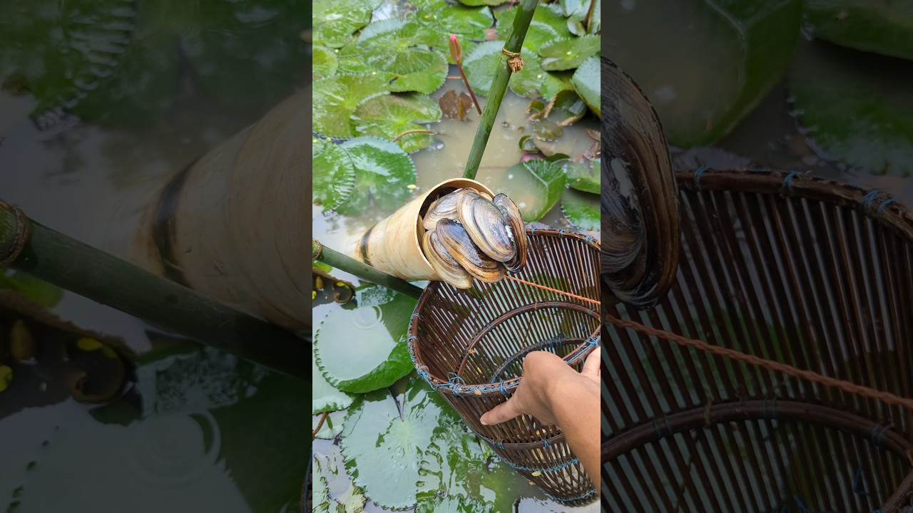 Wow Amazing, plastic pipe fishing challenge, method in village pond#fishing#pipe_fishing