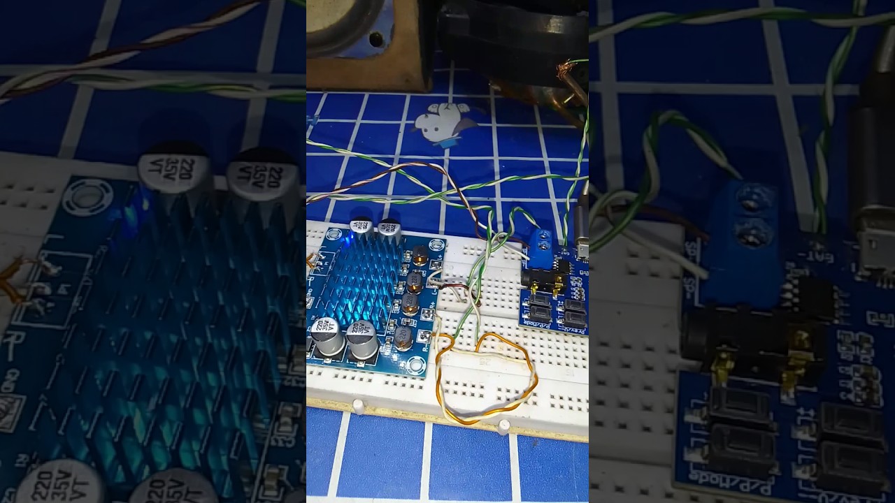 Check Sound TPA 3110 Mini Power Amplifier #diyprojects #electronics #shorts