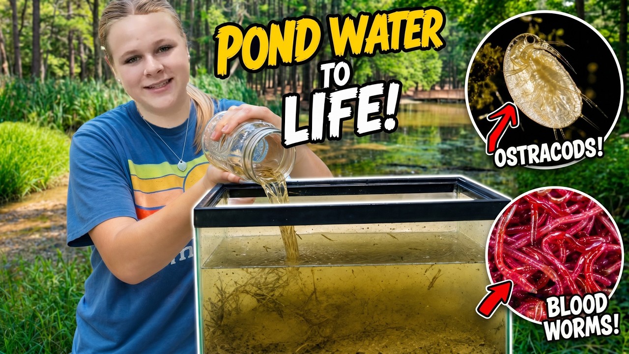 Assistant Sealed Pond Water for 18 Days... Then Turned On a Black Light