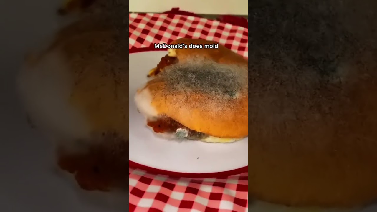 McDonald’s does mold #mcdonalds #mcdonaldshacks #mcdonaldschallenge #mcdonaldssecrets
