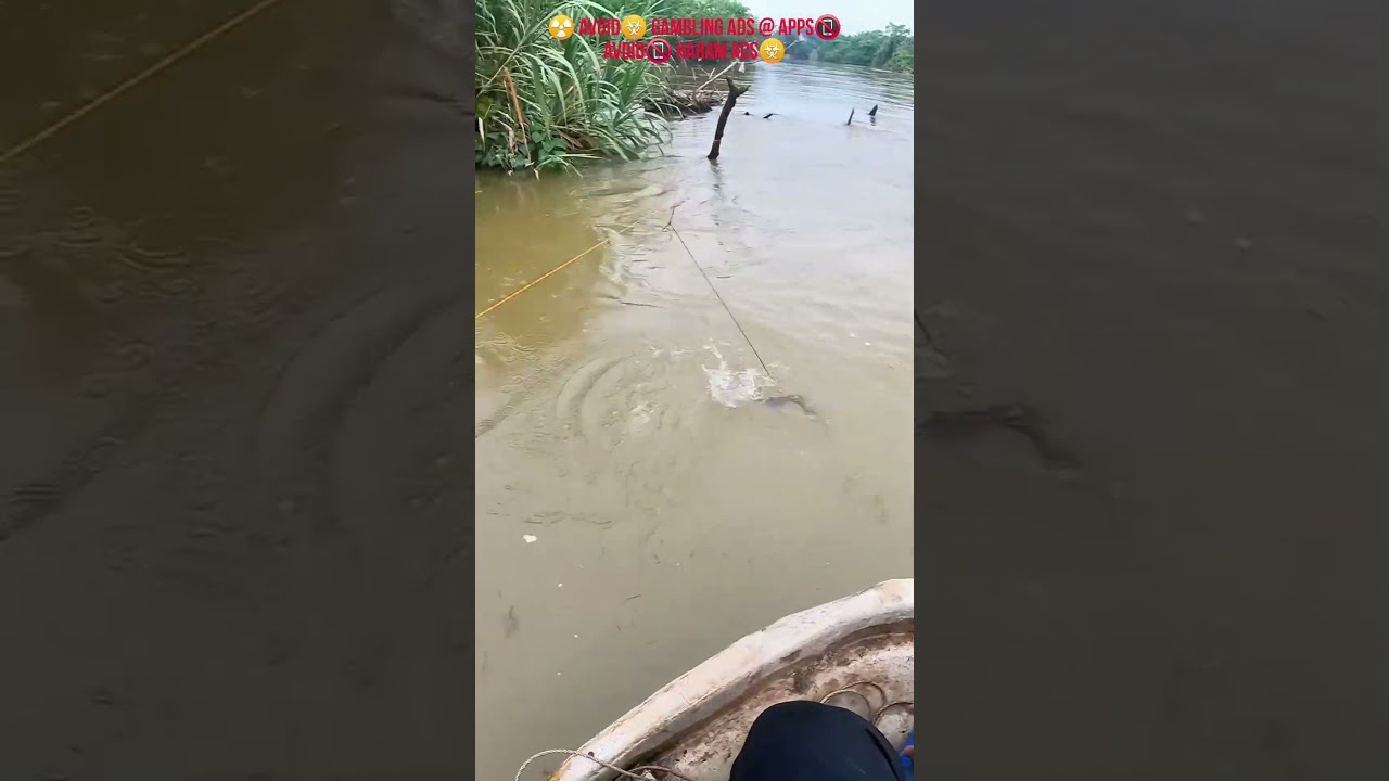 #hookfishing সুবহানাল্লাহ, আলহামদুলিল্লাহ, আল্লাহু আকবার