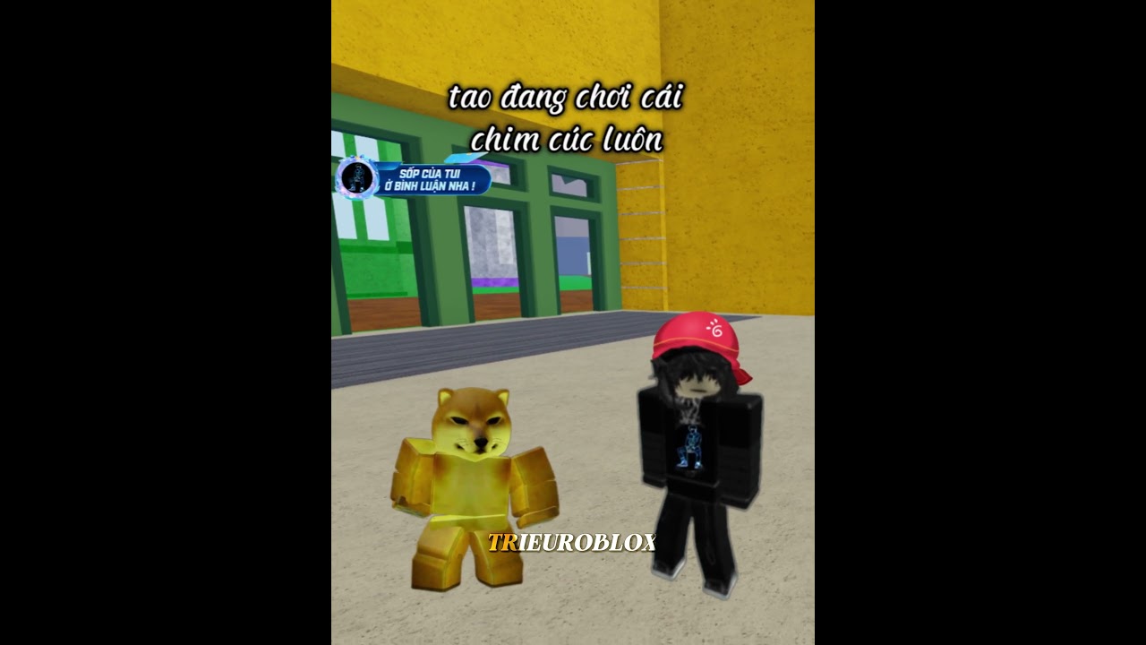 Tình hình người chơi Roblox VNG bây giờ kiểu :)) #trieuroblox #memes #hai #cheems #shorts #roblox