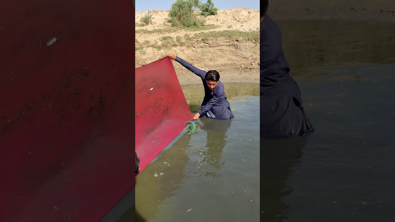 “Biggest Fish of the Year! 🐠 | Viral Catch” #fishing #fish #shorts