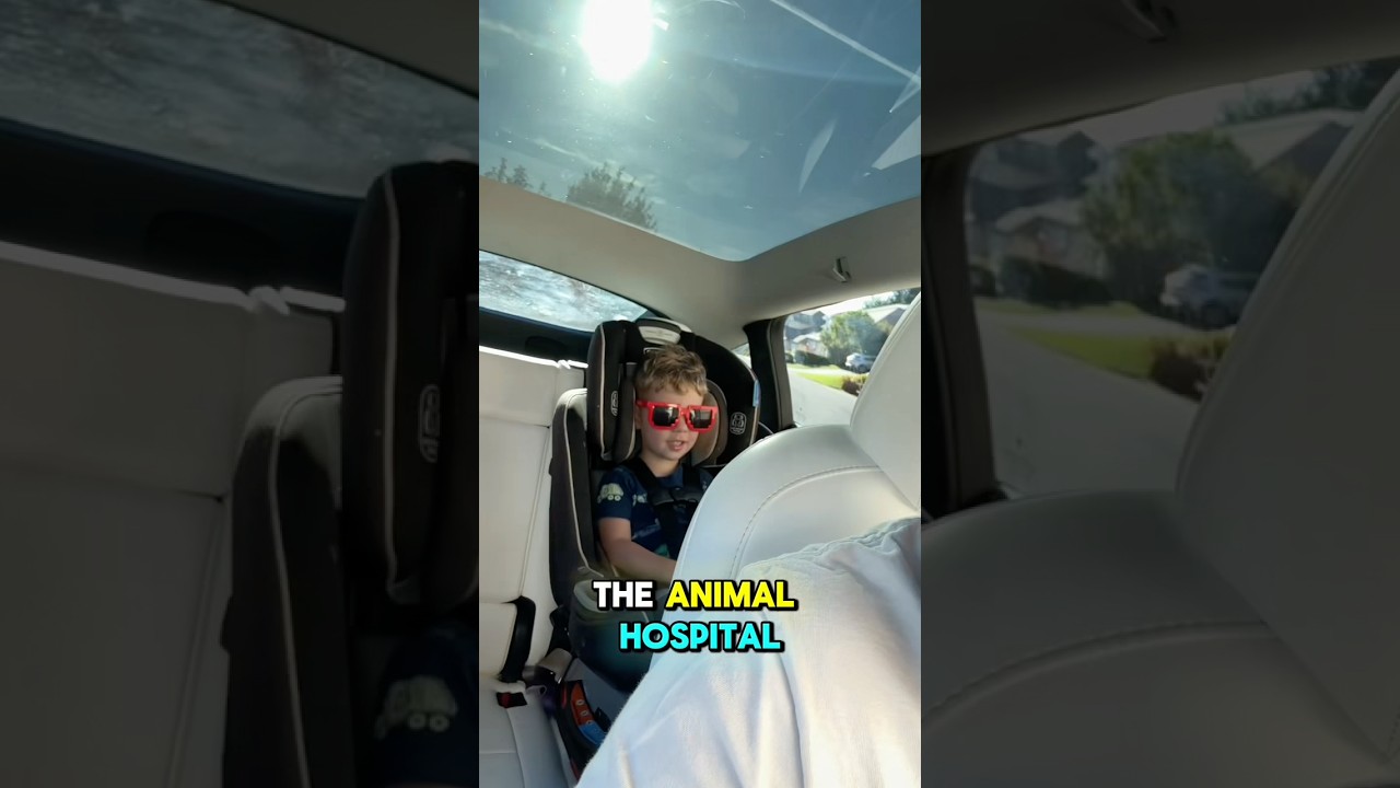 Everyone is going crazy about our Animal Hospital song!