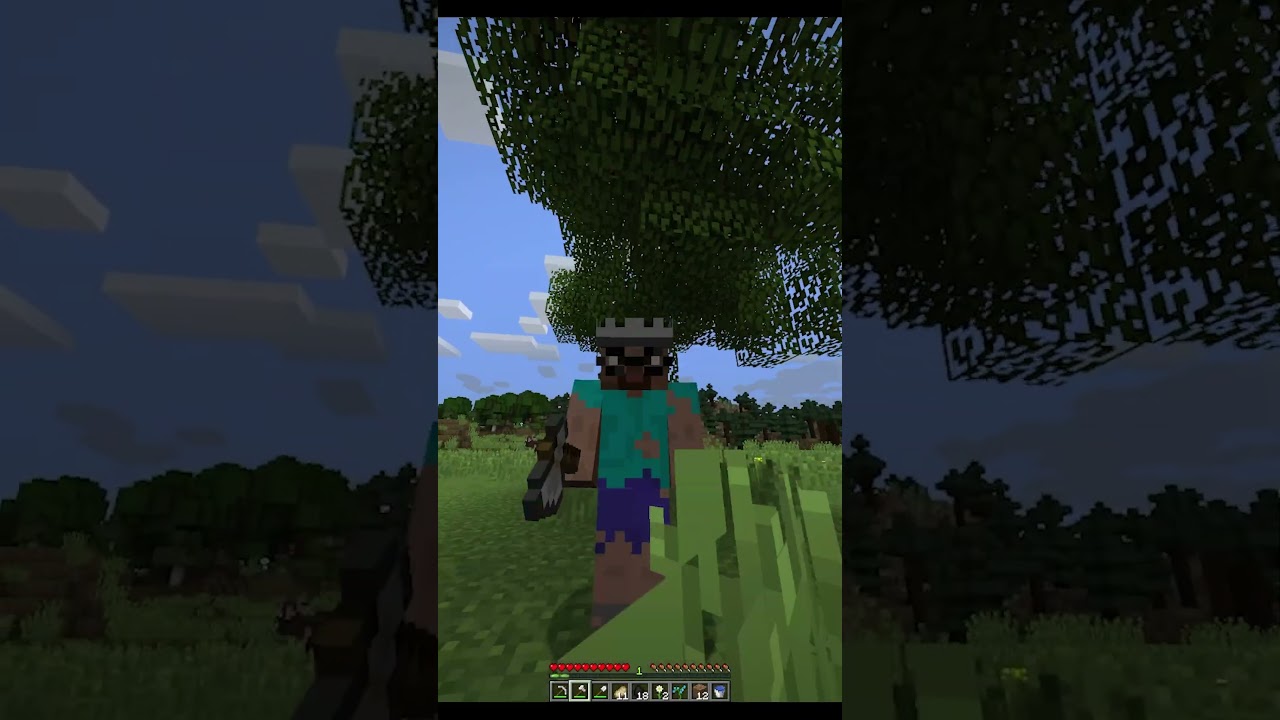 SI ME VEN CON ESE MOD ME BORRAN #minecraft #minecraftshorts #humor #humorviral #mods #terror #hierro