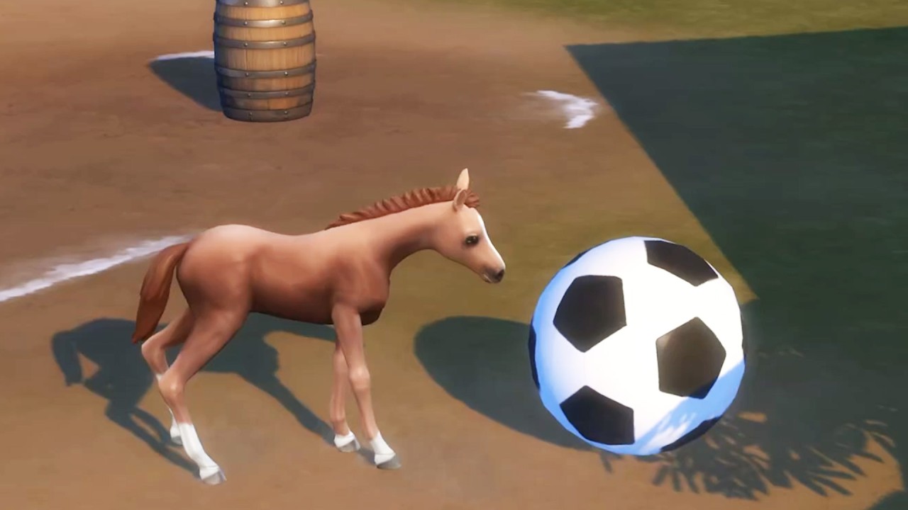 Training My New Foal at the Sims 4 Horse Ranch