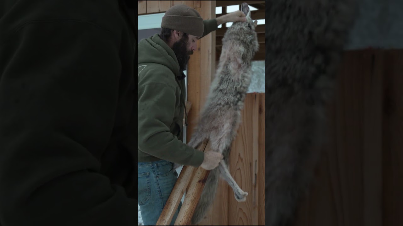 Flintlock Coyote Hunting and Bark Tanning