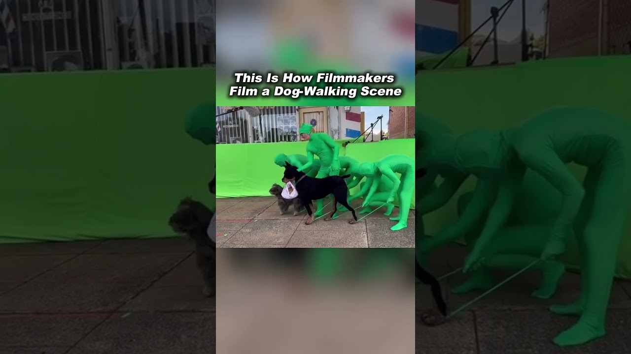 This Is How a Dog-Walking Scene Is Filmed