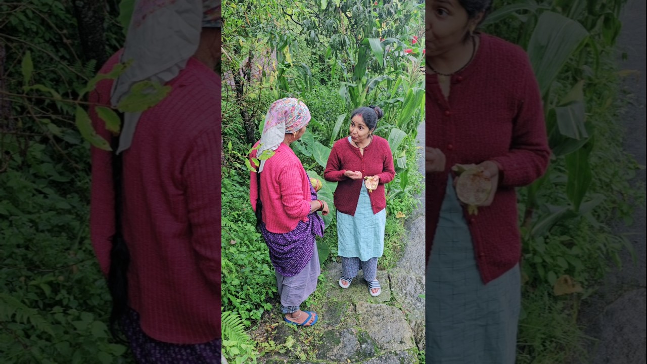 Kachche anar se "zukham" lagega #minivlog #phadilifestyle