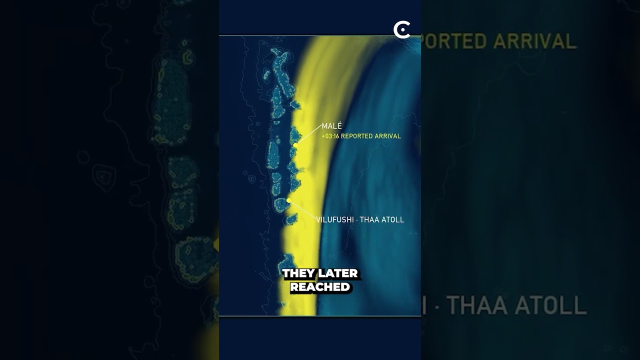 The 2004 Indian Ocean earthquake and tsunami explained.