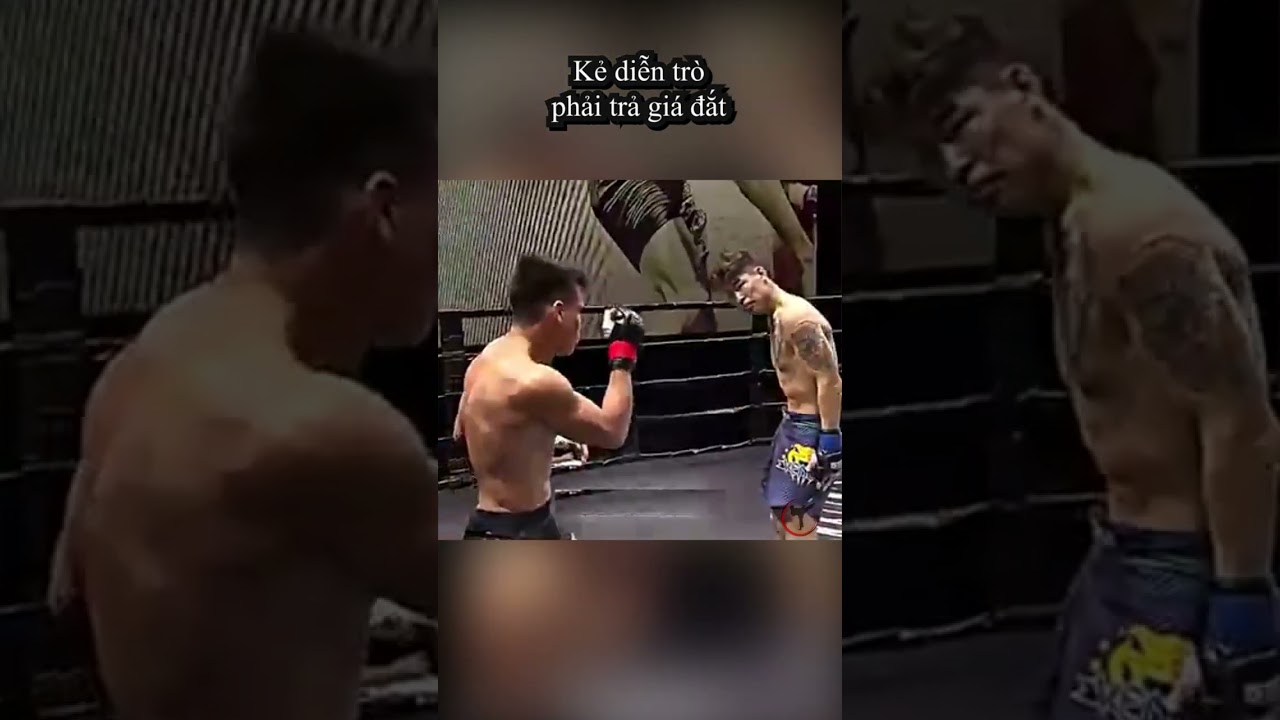 Cái Giá Của Sự Ngông Cuồng Trên Sàn Đấu MMA