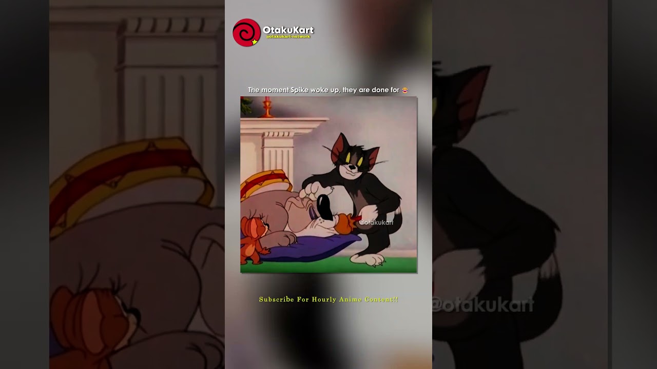 They messing with the wrong dog 😂 #shorts #cartoon