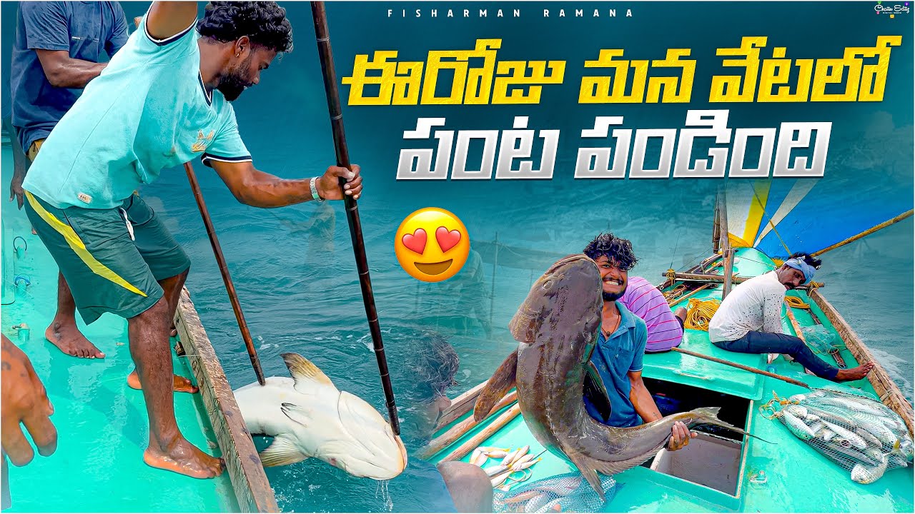 #fish #Fisherman #🌊🌫️ #beachfishing #fishing #fishingmethods #fishingtechniques #fishing #crab 