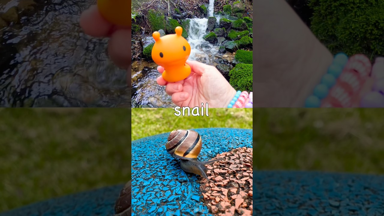 Fun Toys | Bug Insect Names for Kids to Learn at the Waterfall: Caterpillar Beetle Snail Centipede