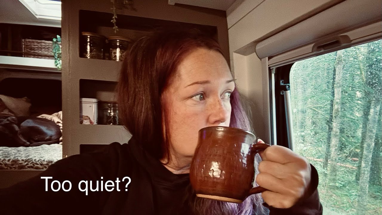 ALONE on a Rainy Forest Road | Quiet Vanlife Night