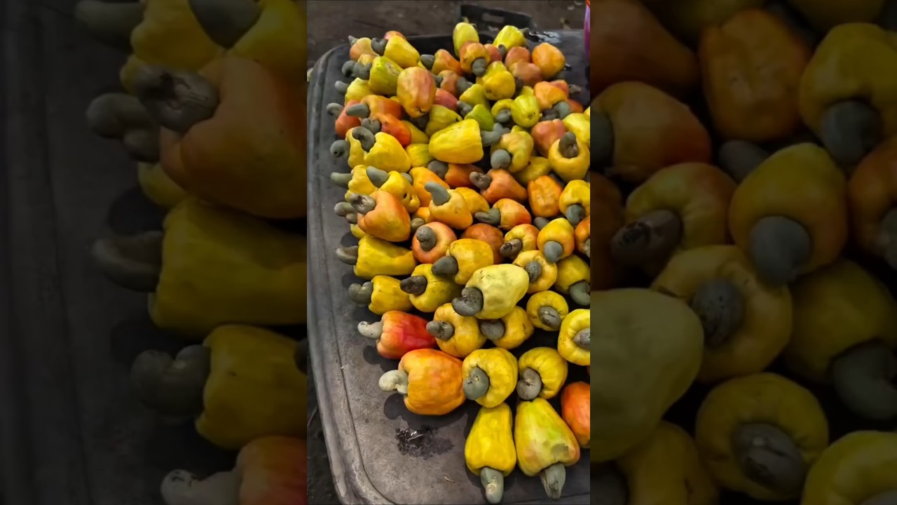 This Fruit Hides a DANGEROUS Secret! 😱🌰