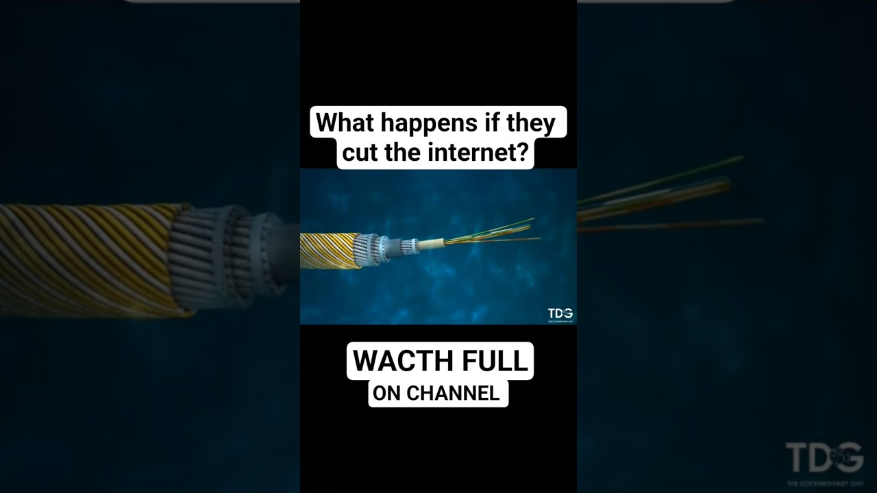 What happens if they cut the internet?
