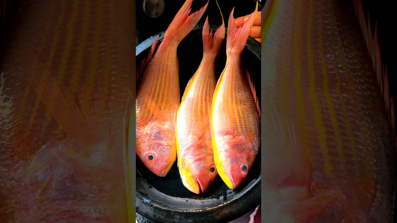 അയ്യോ ഇത്രയും വലിയ കിളിമീൻ😱@kochikari369 #shorts #fish #cooking #food #explore #youtubeshorts
