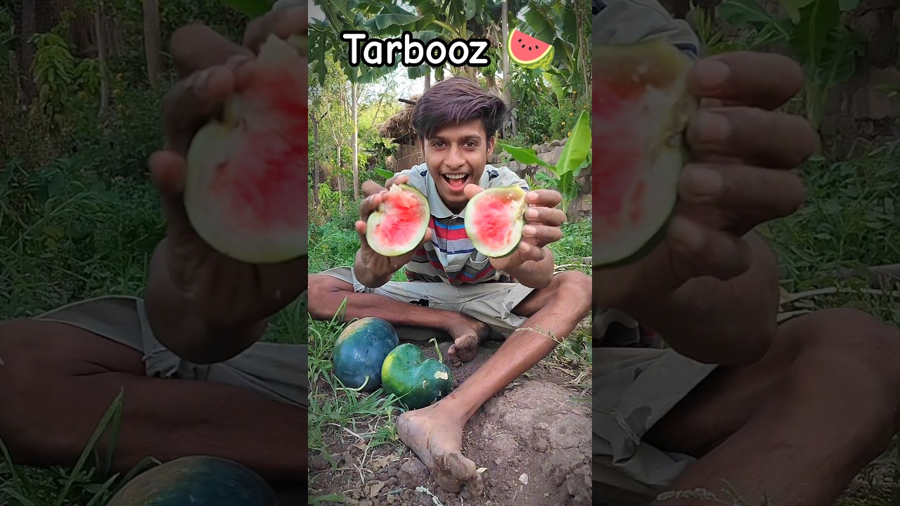 🍉 Tarbooz mil Gaya 😋 | #minivlog #tarbuj #watermelon #shortvideo #fruitcutting