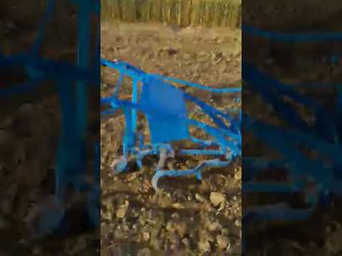 sugarcane cultivator