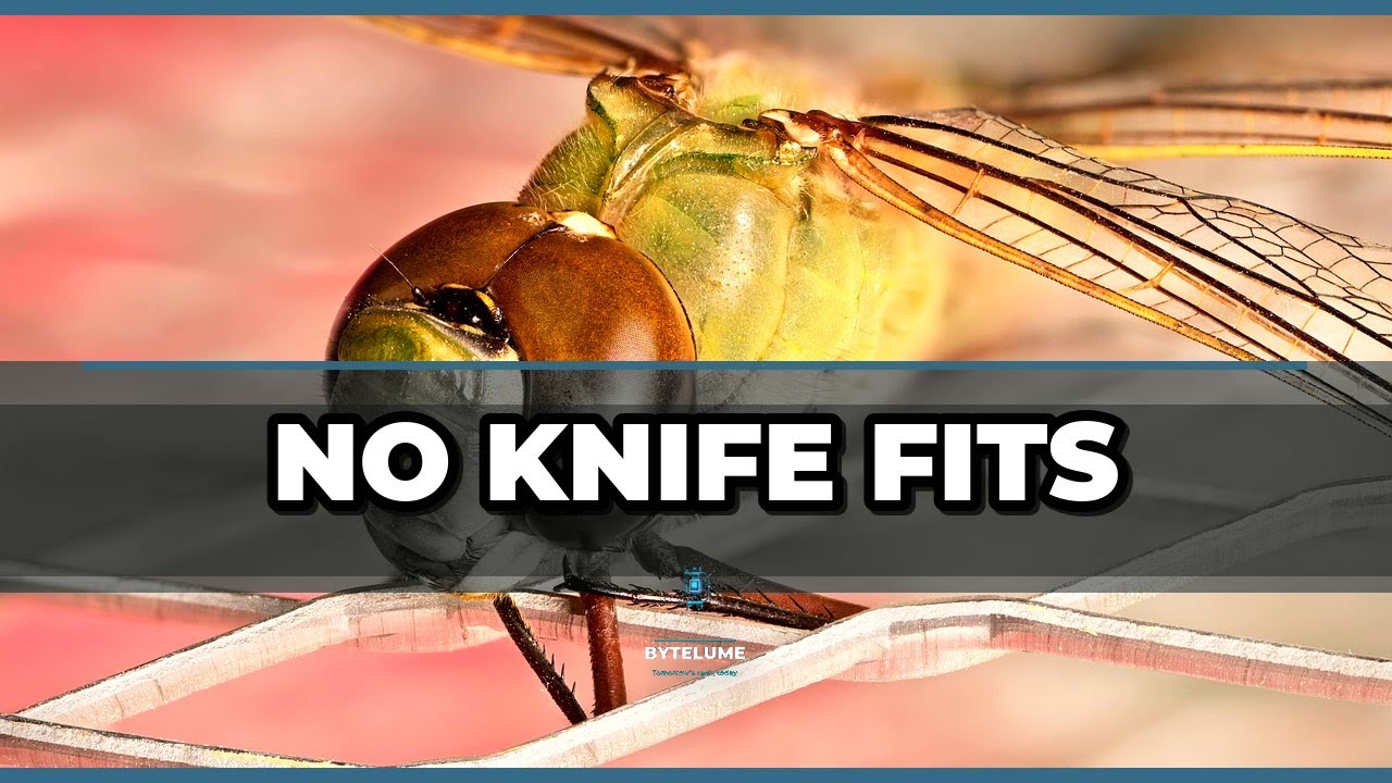 Inca Walls Fit So Tight a Knife Cannot Slip Between #Shorts #engineering #history