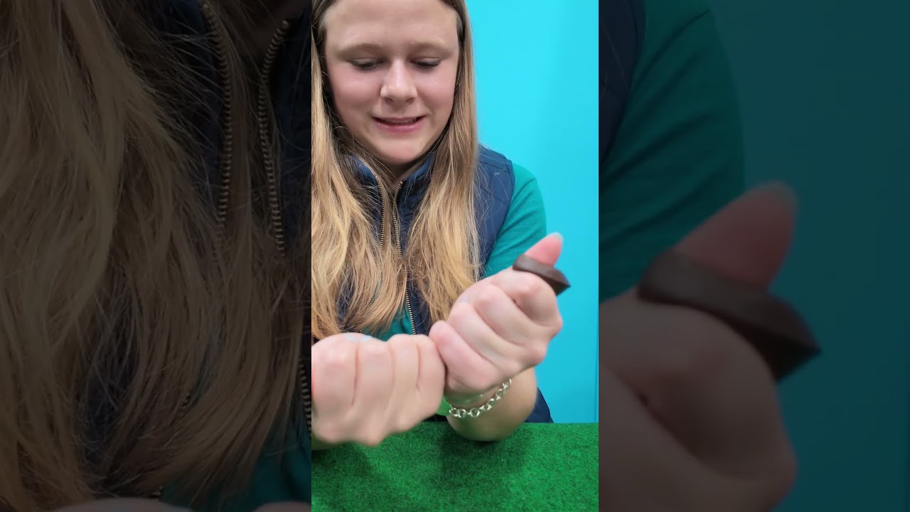Assistant Must decided which Squishy or Fidget is the Best! #FamilyFun #Fidget #squishy