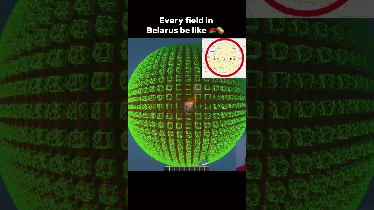 Every field in Belarus be like 🇧🇾🥔 #shorts #minecraft