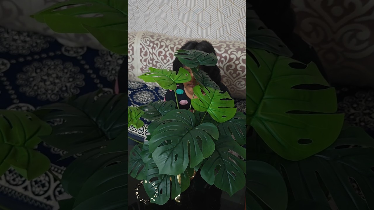 Meesho പൊളിയാണ്!😍😍🔥🔥🔥 #subscribe #meeshobudgetfinds #artificialmonsteraplant #artificialplants