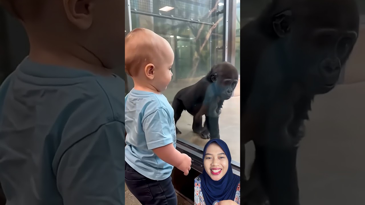 Bocil Liat Onyet Lucu 😹 silverbacksurprise