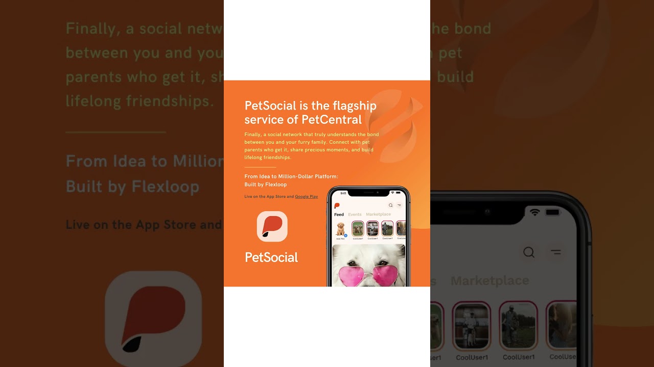 How Flexloop Developed a Custom Social Network for Pets.#webdevelopment #enterprisetech #flexloop