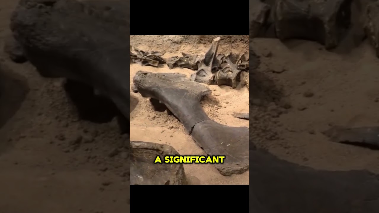 Was Stonehenge a Burial Ground? New Discoveries!