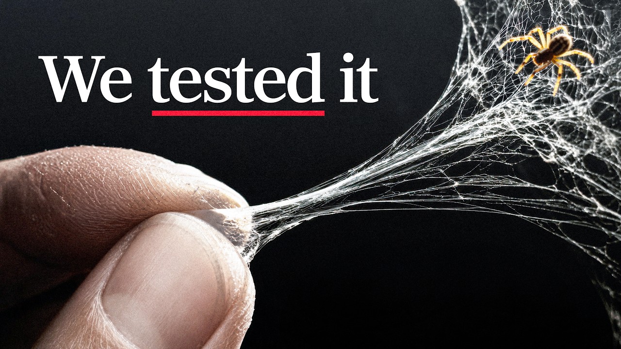 Is spider web really stronger than steel?