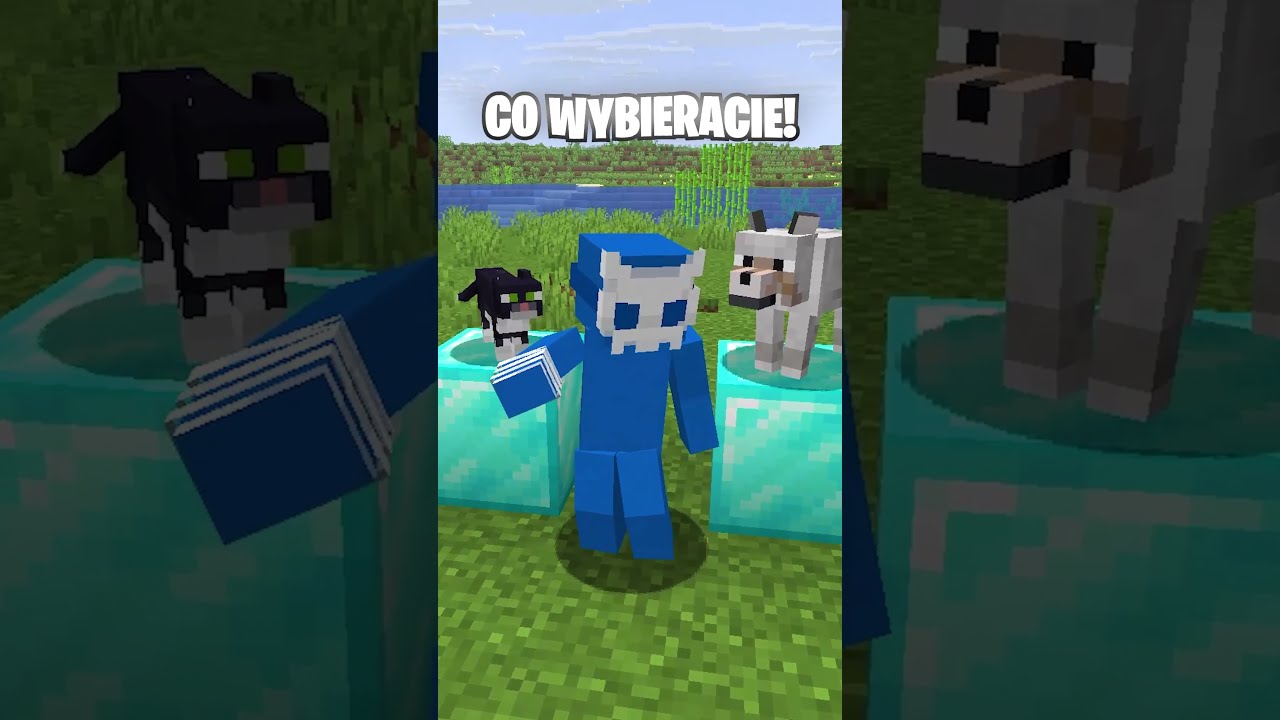 CO BYŚ WOLAŁ w MINECRAFT😝