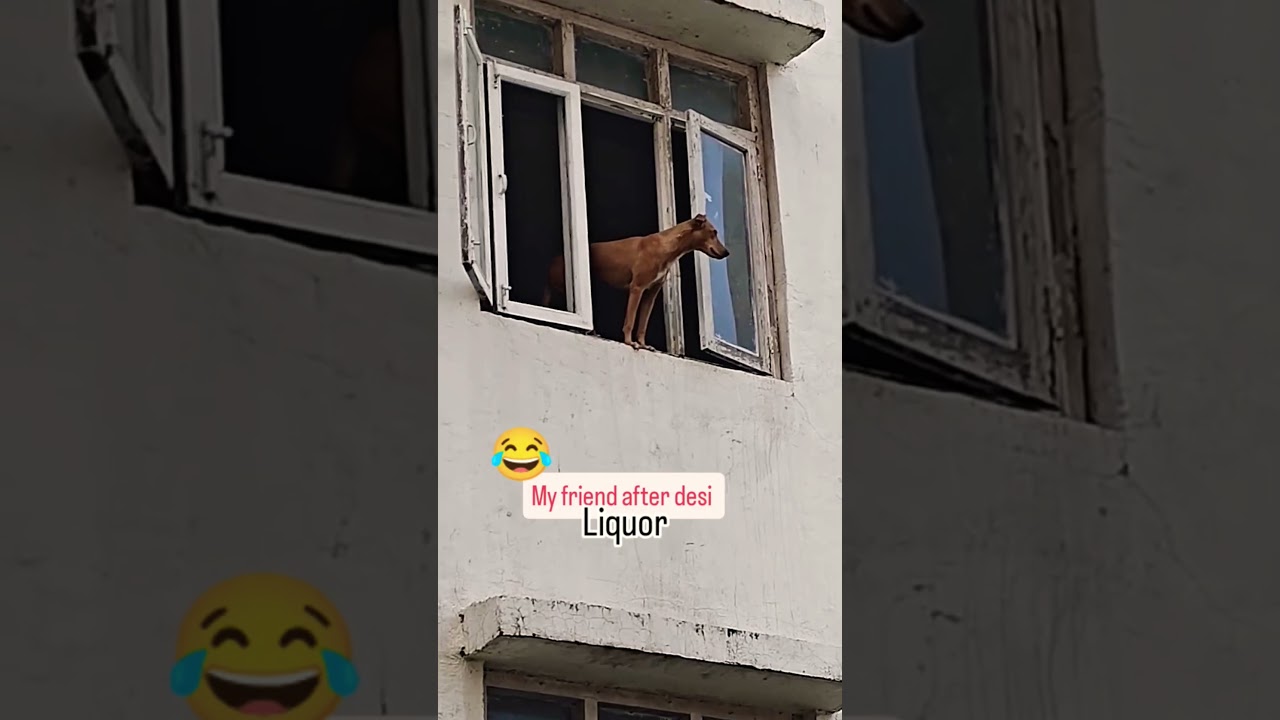 OMG 😳 yeh kya ho rha hai #funny #shorts #shortsfeed #viral  #funnyreel @MrBeast