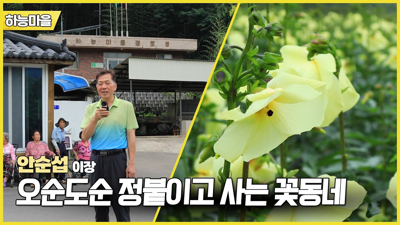 新우문현답 | 490회 가지 않은 길 | 경남 산청군 생비량면 하능마을 (KBS 2026.07.29.수 방송)