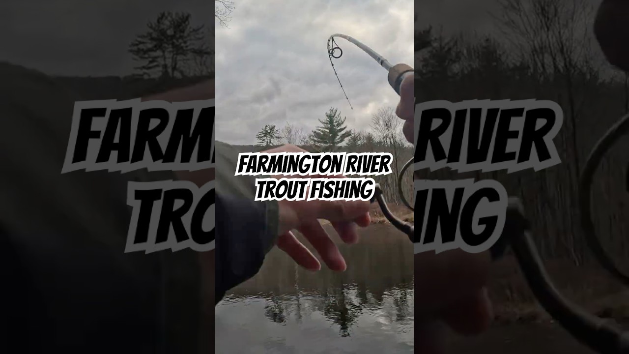 Farmington River Trout Fishing